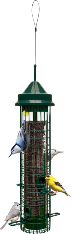 Brome Bird Care Squirrel Buster Classic
