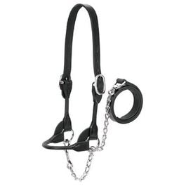 Cattle Show Halter, Black Bridle Leather, Medium, 20-In. Chain x 36-In. Lead