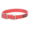 Brahma Webb Dog Collar, Hot Pink, 3/4 x 17-In.