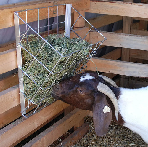 Rugged Ranch Sheep & Goat Basket Feeder