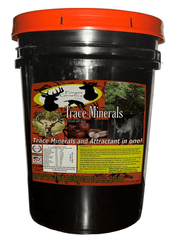 Forget Genetics Apple Infused Trace Minerals Bucket