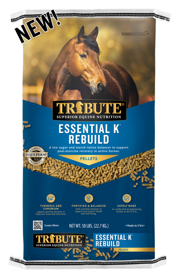 Tribute Equine Nutrition Essential K® Rebuild Ration Balancer with Turmeric and Chromium