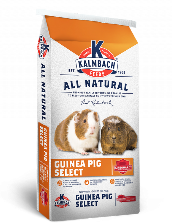 Kalmbach Guinea Pig Select