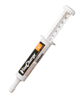 BioZyme Vita Charge® Clench Gel